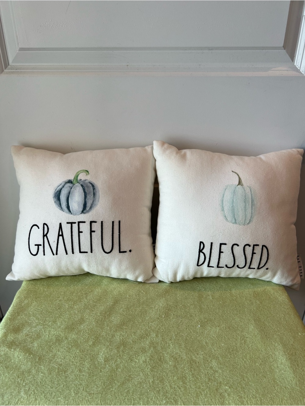 Rae Dunn Fall Accent Pillows. Bundle of 2
